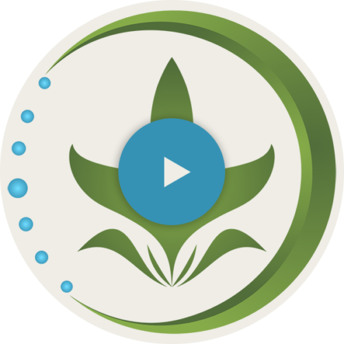 Naturopathic Doctor, Holistic Doctor Near Portage, Kalamazoo MI New