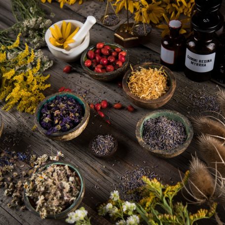Herbal Medicine and Natural Remedies